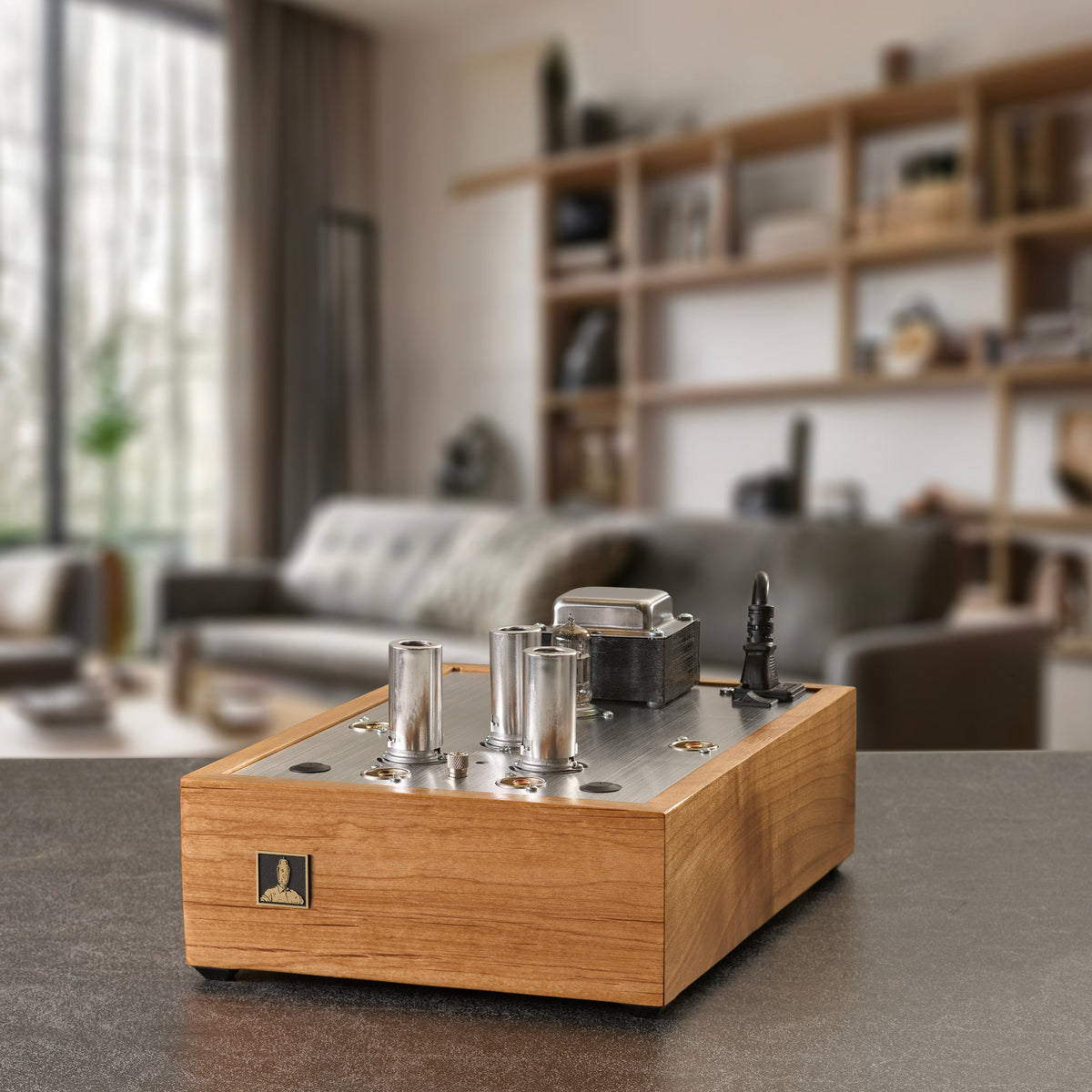 Phono Preamplifiers - Bottlehead